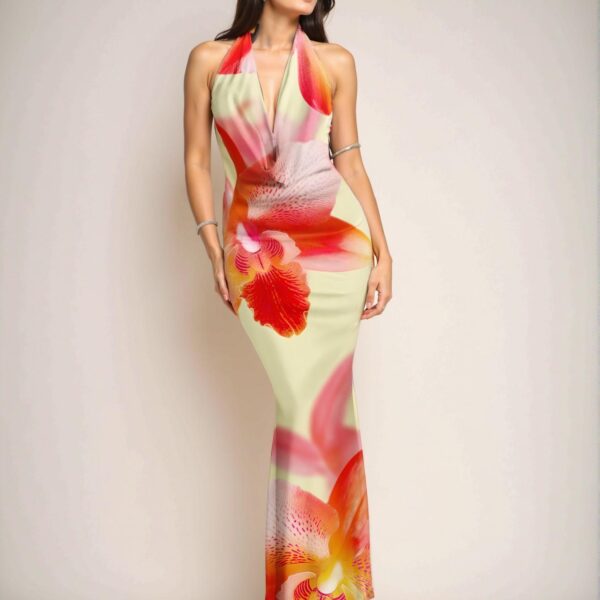 Elegant Multicolor Draped Neck Maxi Summer Dress for Vacations and Elegant Parties – Chic, Classy and Trendy Fashion Style to Dress to Impress