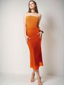 Elegant Multicolor Ombre Mesh Printed Bandeau Bodycon Dress for Women’s Spring and Summer Fashion - Chic, Classy and Trendy Style to Dress to Impress