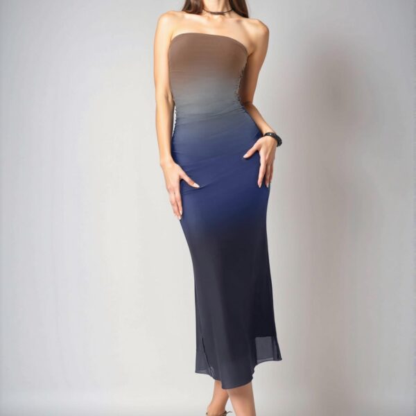Elegant Multicolor Ombre Mesh Print Strapless Fitted Dress for Spring and Summer - Chic, Classy and Trendy Fashion Style to Dress to Impress